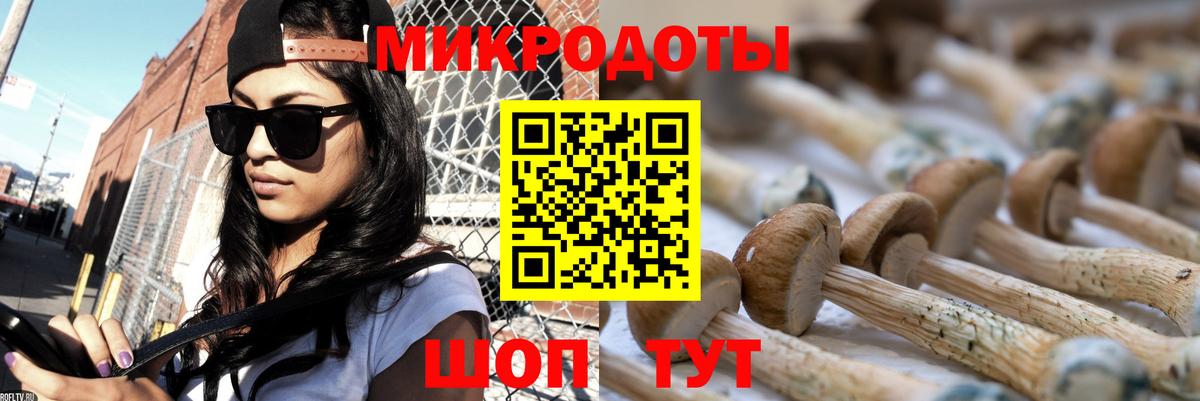 МЕФ Нижний Тагил